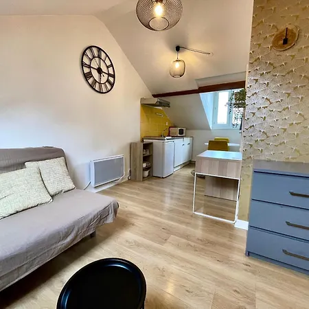 Cosy Studio,mutualiste,belle Electrique * غرونوبل