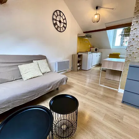 Cosy Studio,mutualiste,belle Electrique * غرونوبل