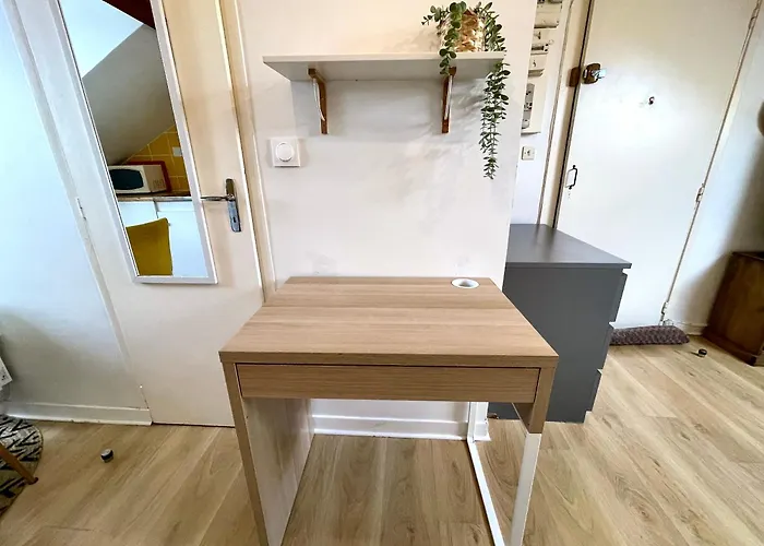 דירה Cosy Studio,mutualiste,belle Electrique גרנובל