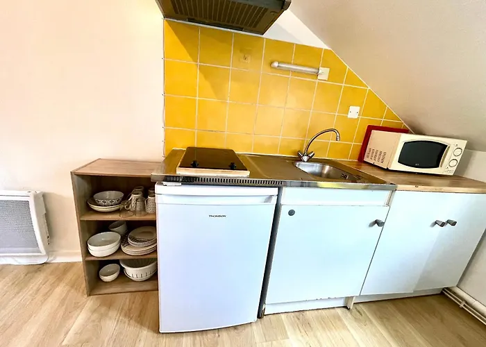 Cosy Studio,mutualiste,belle Electrique * غرونوبل