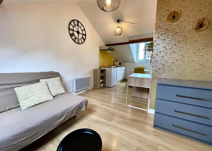 Cosy Studio,mutualiste,belle Electrique * גרנובל