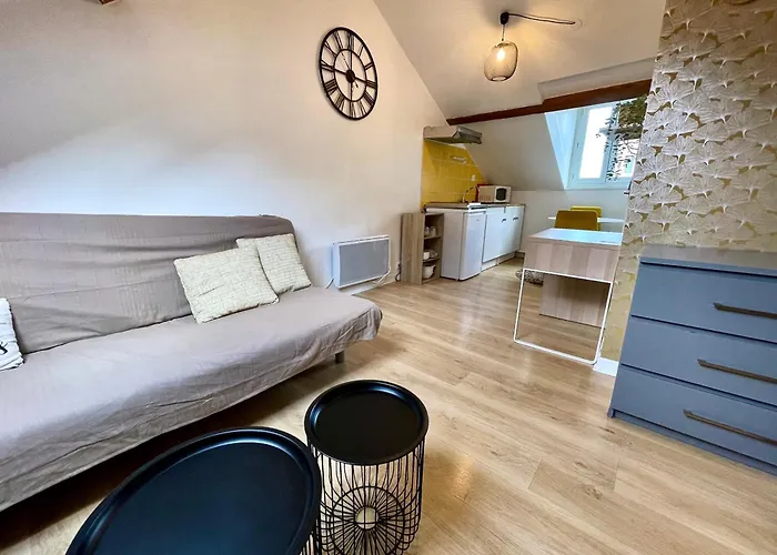 Cosy Studio,mutualiste,belle Electrique * גרנובל